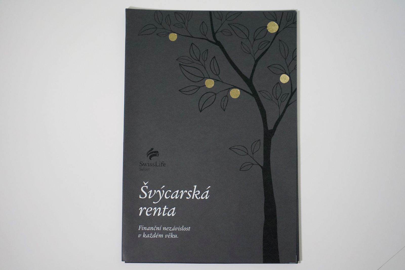 Desky s výsekem, speciální papír, UV lak, zlatá fólioražba, sítotisk